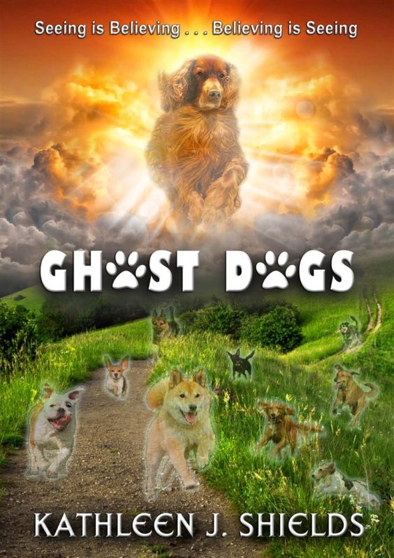Ghost Dogs, Seeing is Believing