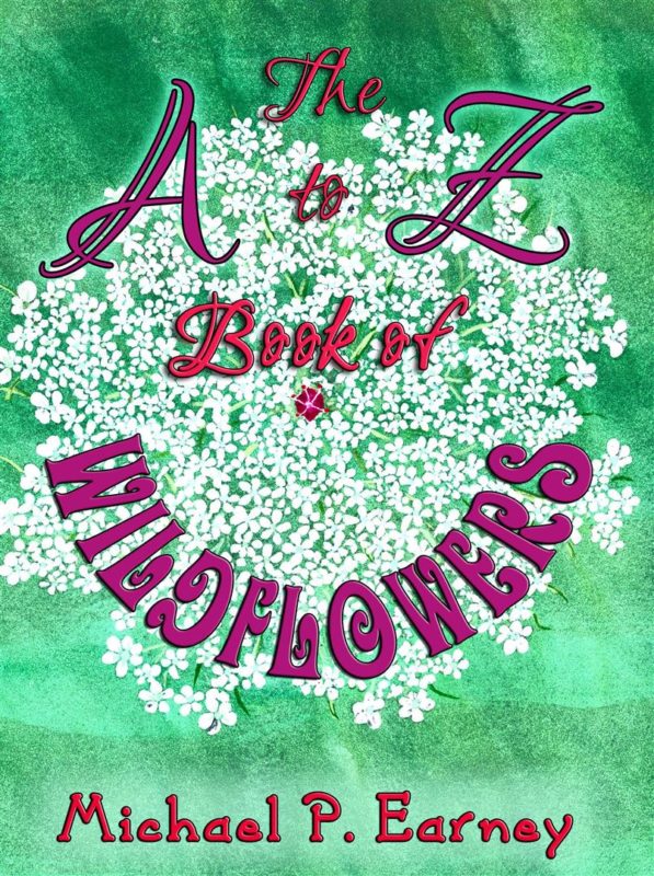 The A to Z Book of Wildflowers