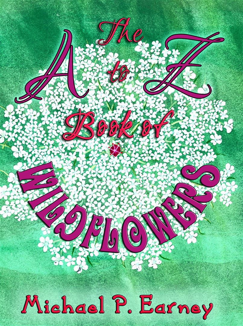 A to Z Book of Wildflowers Michael P. Earney