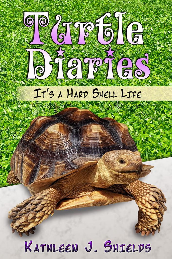 Turtle Diaries, It’s a Hard Shell Life