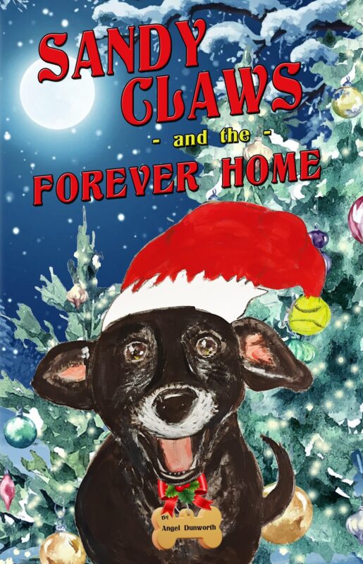 Sandy Claws and the Forever Home.